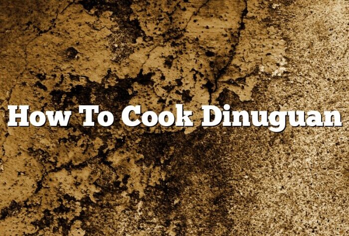 How to cook dinuguan bicol style